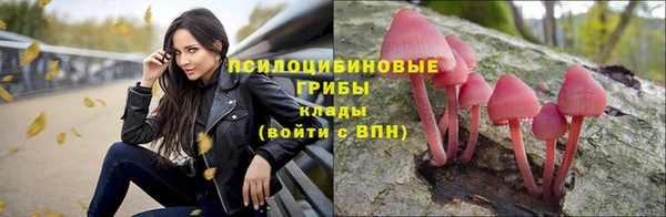 бошки Бугульма