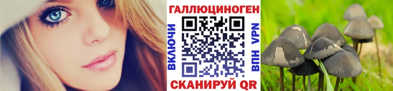 купить наркоту Кашин OMG маркетплейс Псилоцибиновые грибы мицелий